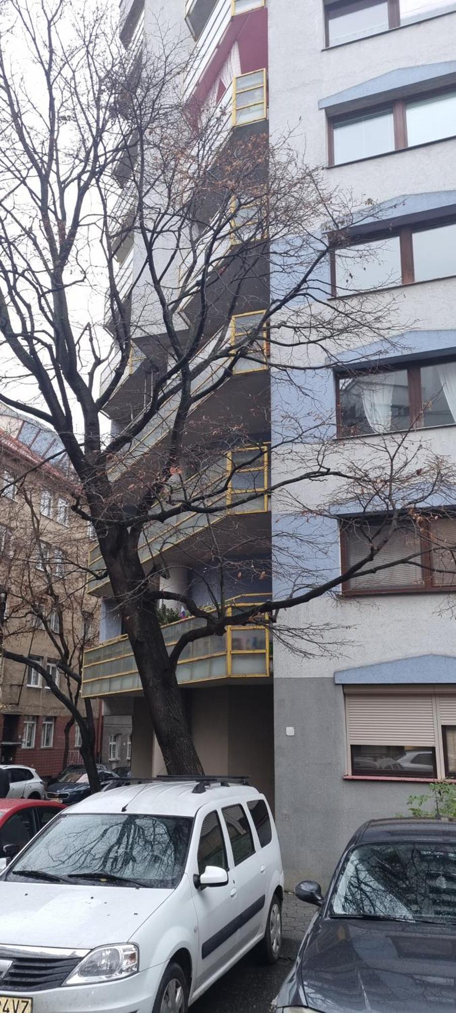 Huge Apartment Next To Train Station Close To The City Center براتسيلافا المظهر الخارجي الصورة